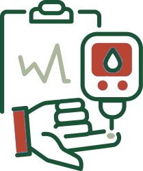 Holistic Health Guidance